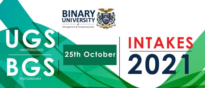 Binary University Management Entrepreneurship